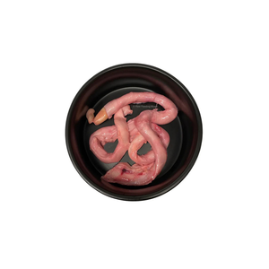 Pénis de bœuf disponible, nettoyé, séché et congelé pour l'alimentation des animaux et humaine. - Product Image 2