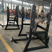 Equipo de Gimnasio Comercial ISO DY Low Row para Entrenamiento de Espalda y Brazos con Características de Seguridad, Construcción de Acero