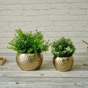 Moderno Florero de Aluminio con Acabado Transparente para una Exhibición Impresionante de Flores y Decoración del Hogar - Product Image 5