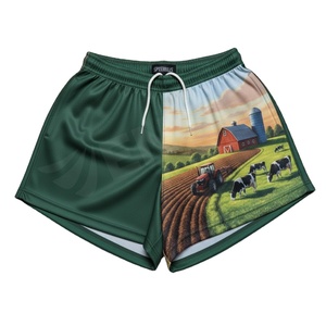Wholesale Printed <b>Polyester</b> Footy Rugby <b>Shorts</b> for Men Premium Summer Plus Size Open Pockets Breathable Quick Dry Elastic Waist - Product Image 1
