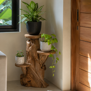 ARTERRA Support de Présentation en Bois Massif Artisanal Rustique en Racine de Teck Bio de Qualité Supérieure pour Décoration Intérieure/Extérieure pour Diwali - Product Image 3