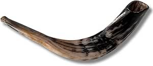 Auténtico Cuerno Shofar de Carnero, Precio Accesible, Hecho a Mano, Cuerno Religioso para Ceremonias y Oraciones - Product Image 6