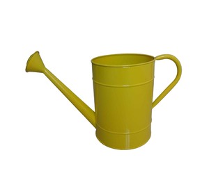 Arrosoir décoratif personnalisé pour l'aménagement de jardins rustiques et les besoins d'entretien des plantes - Product Image 1