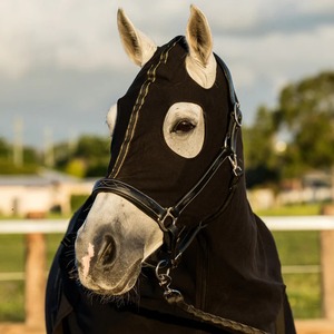 Mantas para Caballos PRIMA, Elegantes, de Gamuza Suave, Forro Polar de Calidad, Ligeras, Duraderas, con Estampado de Rayas, para Todas las Estaciones - Product Image 5