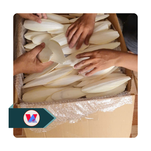 Hueso de Sepia Seco Blanco Brillante de Alta Calidad, Ecológico, Sin Recortar, para Aves, Loros, Juguete de Calcio para Recortar el Pico - Product Image 1