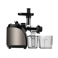 Hot Selling Factory Price Küche Edelstahl Zentrifugal Entsafter Obst Karotte Slow Electric Automatische Entsafter Extraktion maschine