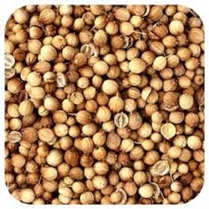 Productos Agrícolas de Calidad de Exportación, Semillas de Cilantro Silvestre Secas, Polvo Herbal de Grado Alimenticio para Uso en la Cocina, Empaquetado en Tambor - Product Image 6