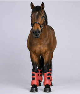 Protège-jambes pour chevaux en néoprène, bottes médicinales respirantes, amortissantes, durables, équipement d'équitation, service OEM personnalisé - Product Image 2