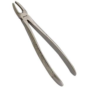 Dental Extraction Forceps High Quality Resistant Dental Surgical Instrument OEM ODM Dental Forceps On Sale - Product Image 1