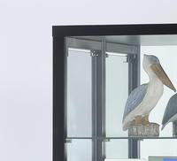 Vitrine moderne en verre trempé pour salon, mobilier de bar, appartement, hôtel et supermarché