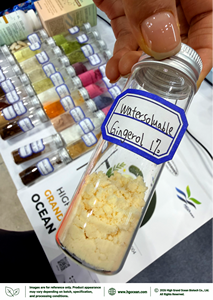 Extrait de gingembre pur naturel HGO (qualité alimentaire) soluble dans l'eau, Gingérol 1% (Extrait standardisé) – Approvisionnement direct usine - Product Image 2