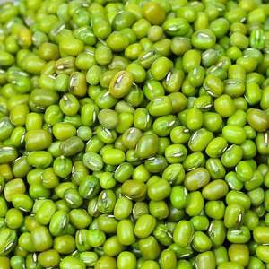Meilleur prix de gros, haricots mungo verts biologiques frais séchés de haute qualité (Moong Dal), livraison rapide avec emballage en vrac, Autriche - Product Image 1