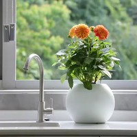 Nouvelle Arrivée Durable Nordique En Plastique Pot De Fleur Ronde Sphère Boule Planteur pour Bureau Maison Bureau Jardin In-Outdoor Decor