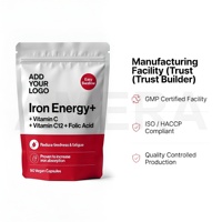 Complément Énergétique au Fer, Vitamine C, Vitamine B12, Acide Folique en Capsules pour Adultes – Marque Privée OEM, Complément Alimentaire en Vrac