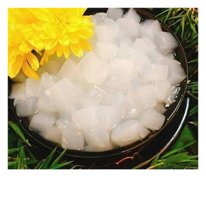 Nata de Coco Vietnamita Estándar de Exportación en Almíbar, Cubos de Coco Listos para Bebidas y Helados - Product Image 1