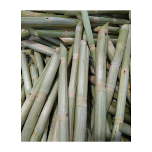 Oferta caña de azúcar congelada de 99GD Vietnam al Mejor Precio lista para enviar con grado superior para exportación - Product Image 3