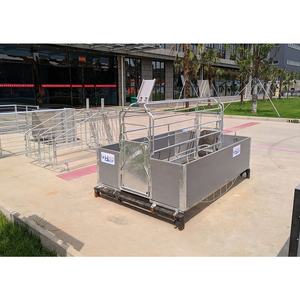 Cage de maternité en acier galvanisé pour élevage de porcs - Product Image 3