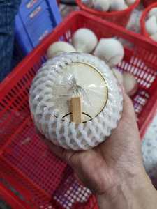 EXPORT STANDARD Premium Whole <b>FRESH</b> PEELED Shell Young <b>Coconut</b> 750g 800g Ben Tre Vietnam Quality Healthy Natural Tropical Drink - Product Image 3