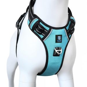Arnés Ajustable para Perros, Cómodo, Antitirones, con Hebilla Segura, de Poliéster, para Perros Pequeños, Medianos y Grandes - Product Image 1