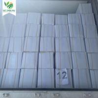 VIET THIEN PHU exportkwaliteit diepvries bananenblad industrieel natuurlijk voedselverpakkingsmateriaal uit Vietnam