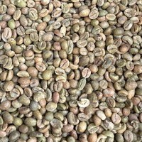Café Vert Robusta du Vietnam, Grains Taille 14, Processus Miel, Non Torréfiés, Export en Vrac, Fournisseur de Café Premium