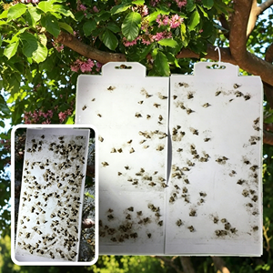 Trappola Pieghevole Efficace per Falene della Dispensa, Trappola Personalizzata Multiuso per il Controllo dei Parassiti - Product Image 1