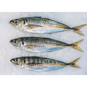 Pescado Caballito de Mar de Primera Calidad, Mariscos Frescos Cuidadosamente Seleccionados para Freír, Hornear y Preparar Platos de Pescado a la Parrilla - Product Image 2