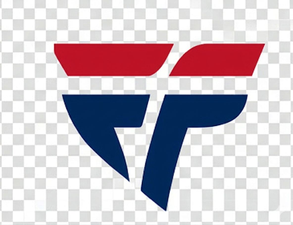 FETTLE MED INSTRUMENTS logo