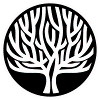 BOIS ANTIQUE SRL logo