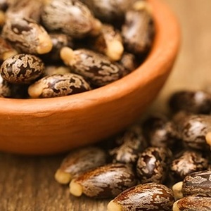 เมล็ดละหุ่งบริสุทธิ์ล้วนตากแห้ง - Product Image 1
