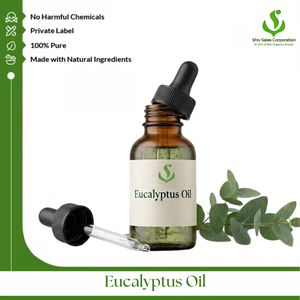 Premium Eucalyptus Leaf Oil for Wholesale Distribution Cosmetic Manufacturing Fragrance Development Perfume Production - Product Image 1