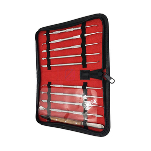 Kit de 10 Herramientas de Limpieza Dental Reutilizables de Acero Inoxidable de Alta Calidad de ROBOZ TECH - Product Image 3