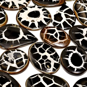 Cristal de Septaria Negra Curativa, Pieza Decorativa Hecha a Mano para la Sala de Estar, Disponible al Mejor Precio - Product Image 4