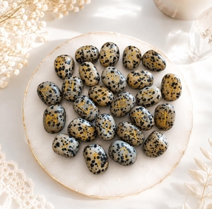 Ensemble de 25 runes Futhark en jaspe dalmatien sculptées à la main, pour la guérison par le Reiki, la divination, l'équilibre des chakras et le Feng Shui - Product Image 2