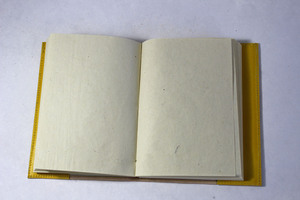 Papier adouci de couleur jaune avec motif de bananier en relief sur le devant, imprimé, 100 feuilles, magnifique journal relié en cuir - Product Image 4