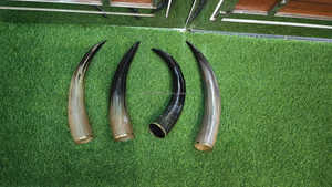 Viking authentique corne à boire faite à la main support en bois massif gravé à la main Style animal poli artisanat naturel utilisant l'artisanat - Product Image 2