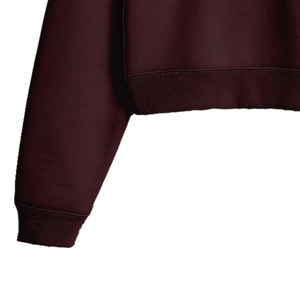 Sweat à capuche court pour femme, hiver, manches longues, cordon de serrage, ourlet côtelé, coupe-vent, écoresponsable, streetwear décontracté, 420g - Product Image 6