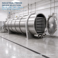 Industriële fruit- en groente-vriesdroogmachine FFD-100, ca. 100 m² 1000 kg partij voor de verwerking van ingrediënten en snacks