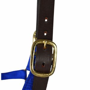 Cabestro de Seguridad para Caballo Azul Rey, de Nailon con Corona de Cuero Genuino, Ajustable y Duradero - Product Image 3