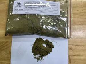 ผงใบทุเรียนเทศอบแห้งด้วยลมร้อน คุณภาพส่งออก วัตถุดิบผงใบกราวิโอลา เวียดนาม ANGLE - Product Image 3