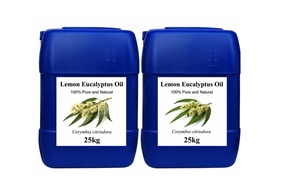 Huile essentielle d'eucalyptus citronné 100% pure, distillée à la vapeur, répulsif contre les moustiques, pour tous types de peaux - Product Image 3