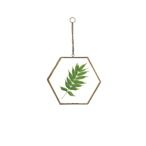 Juego de Marcos Colgantes de Doble Cristal con Acabado en Latón de Alta Calidad, Soporte de Exhibición de Especímenes de Plantas Montado en la Pared, Decoración para el Hogar y Bodas - Product Image 2