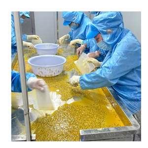 MEILLEUR PRIX Purée de fruit de la passion sans pépins surgelée IQF, approvisionnement en vrac pour l'industrie des boissons, offre limitée - Product Image 6