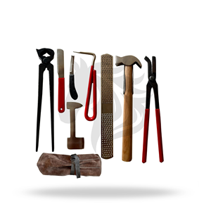 Kit d'outils pour sabots FARRIER, 8 pièces, en acier inoxydable, pour l'entretien des sabots des chevaux - Product Image 3