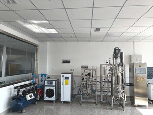 Des procédés Bailun 30L développés dans des fermenteurs en acier inoxydable à l'échelle du laboratoire - Product Image 3