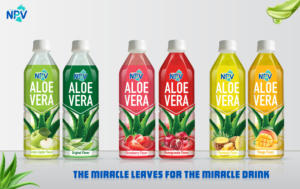 Proveedor de Vietnam, venta al por mayor, servicio OEM ODM, nuevo embalaje, mejor calidad, botella de PET de 500ml, bebida de Aloe Vera, sabor Original - Product Image 3