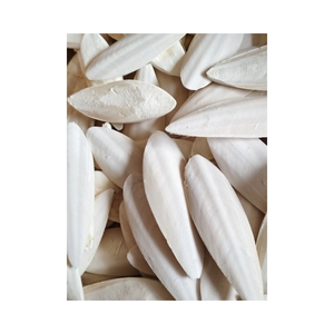 Suplemento de Calcio Natural de Calamar Seco para Aves, Favorece el Recorte del Pico y el Desarrollo de Huesos Fuertes - Product Image 3