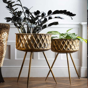 Beautiful gold bowl planter with a decorative <b>wire</b> cage stand for premium styling, available at wholesale prices. - Product Image 3