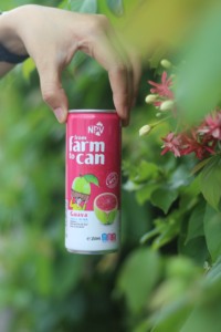Bebida de Jugo de Guayaba Deliciosa y Fresca con NFC - Fabricante de Jugos de Marca Blanca con MOQ Bajo, Precio de Empresa, Certificación HALAL - Product Image 5