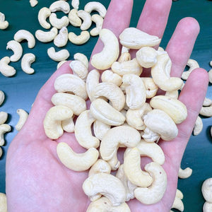 Nueces de Anacardo Kaju a Granel Directo de Fábrica SANTIGO, Nueces de Anacardo a Granel, SIN Impuestos, Origen Vietnam - Product Image 1